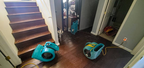 Best Carpet water damage restoration  in Edgemere, MD