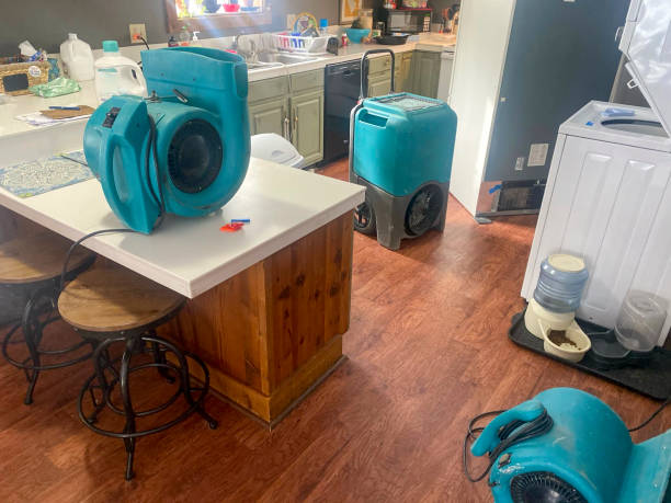 Best Professional water damage repair  in Edgemere, MD