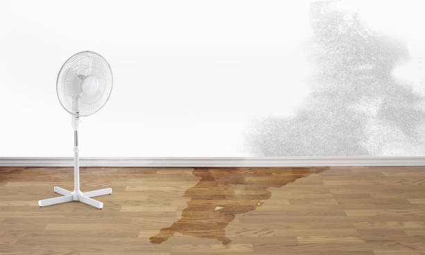 Best 24/7 water damage repair  in Edgemere, MD
