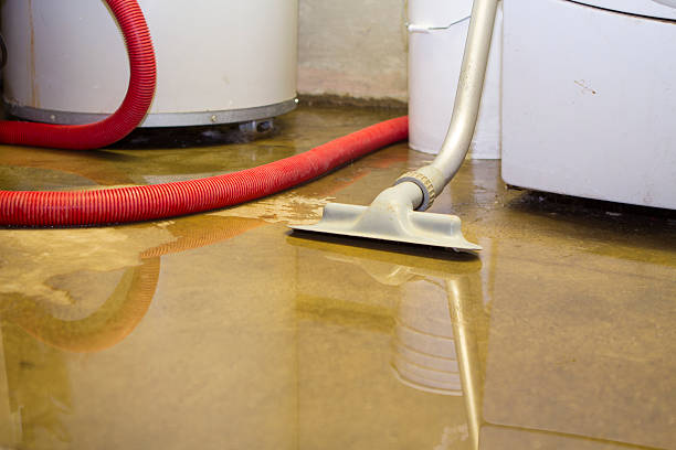 Best Water damage cleanup near me  in Edgemere, MD