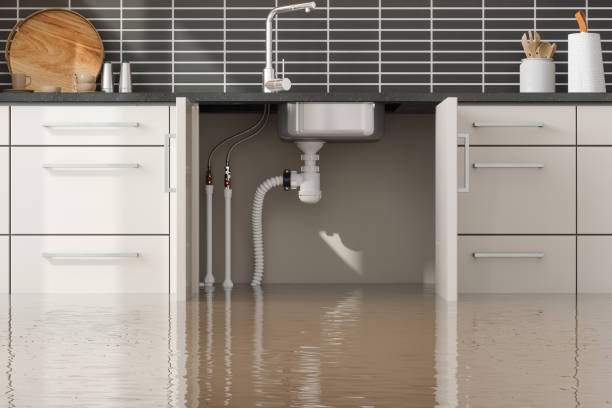 Best Commercial water damage restoration  in Edgemere, MD