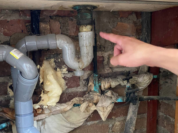 Best Sewage cleanup and water damage restoration  in Edgemere, MD